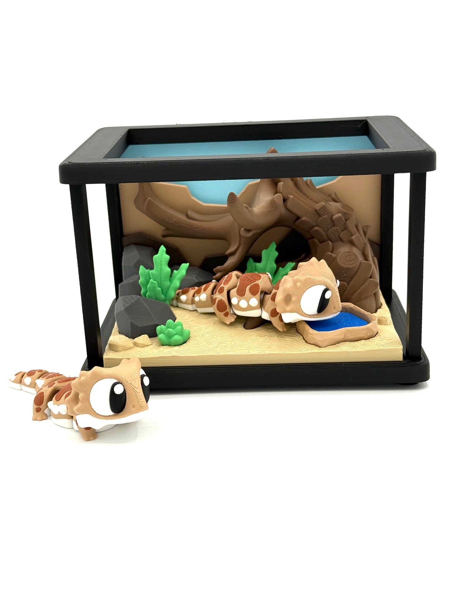 Terrarium with Two Bearded Dragons