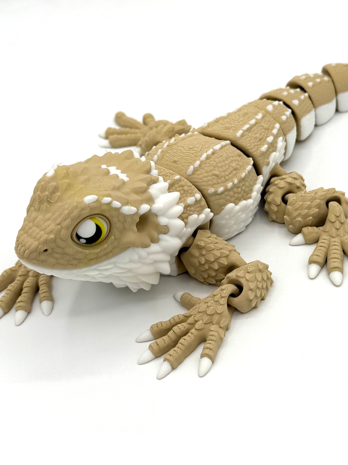 Bearded Dragon