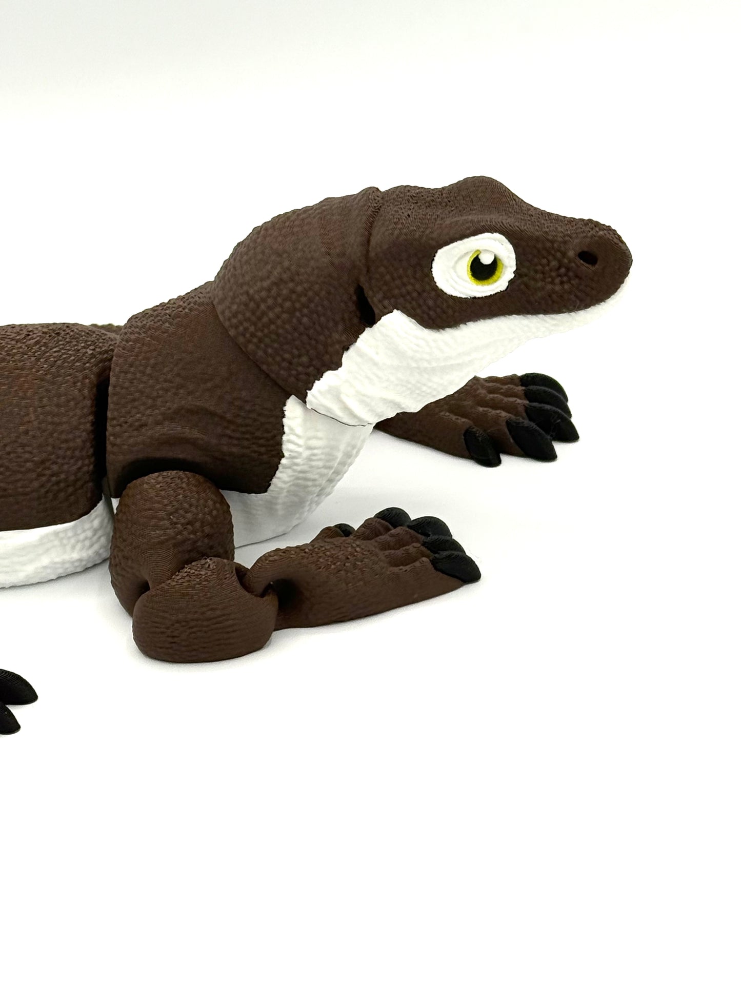 Komodo Dragon