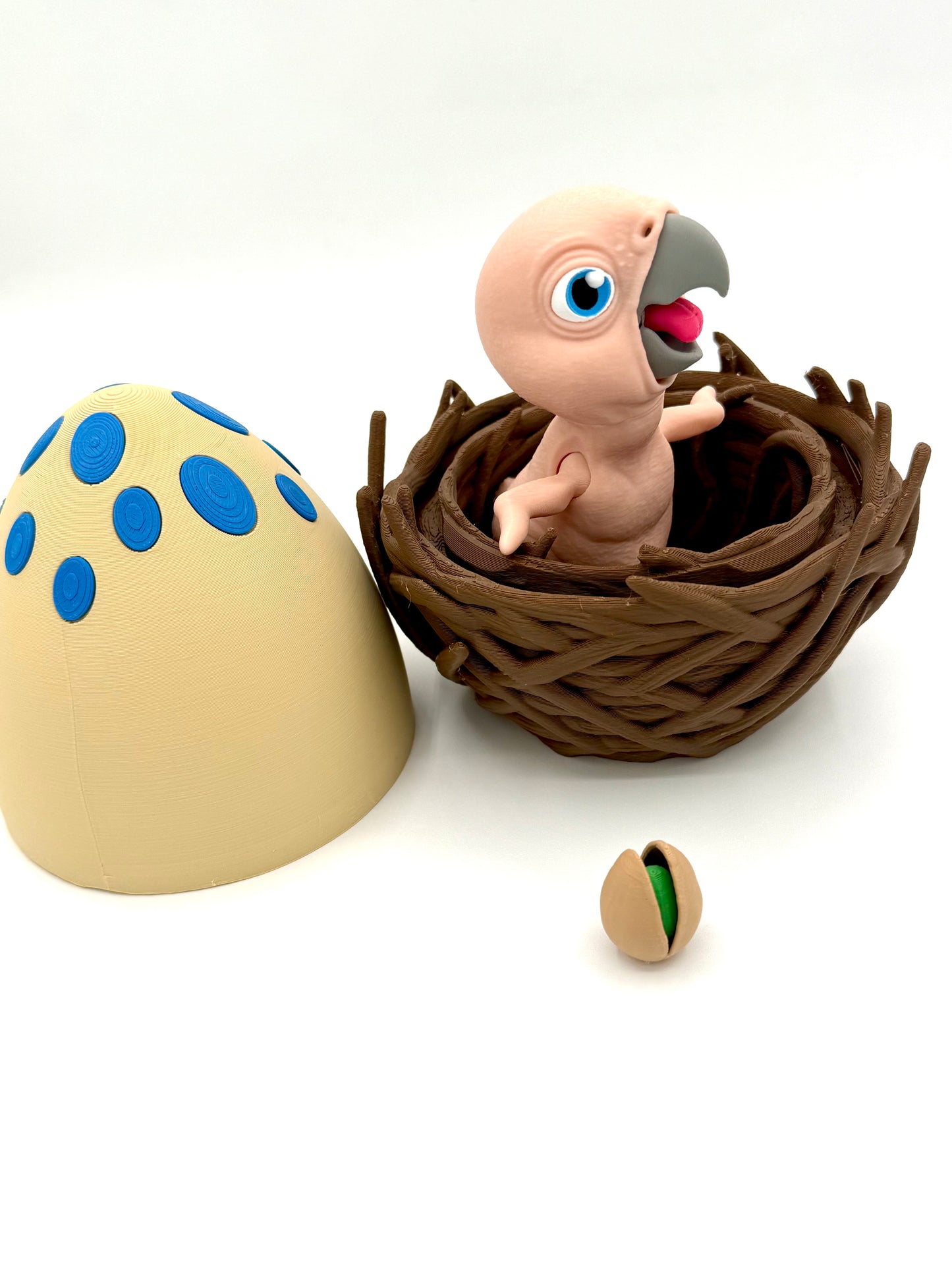 Baby Parrot with Nest