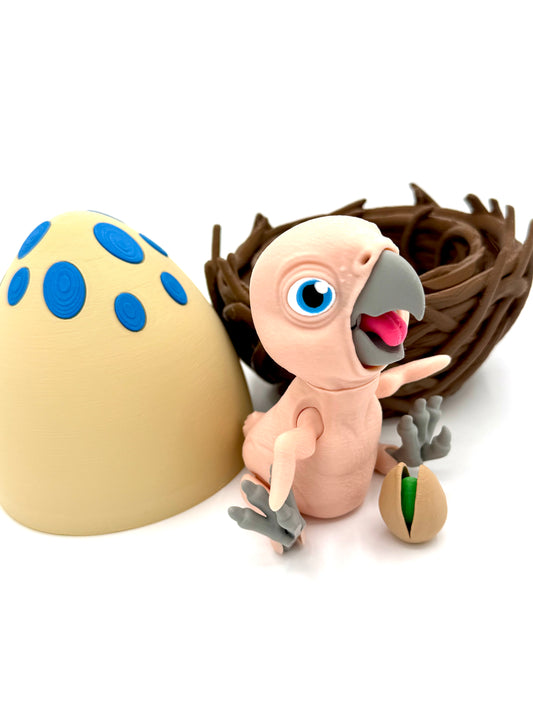Baby Parrot with Nest