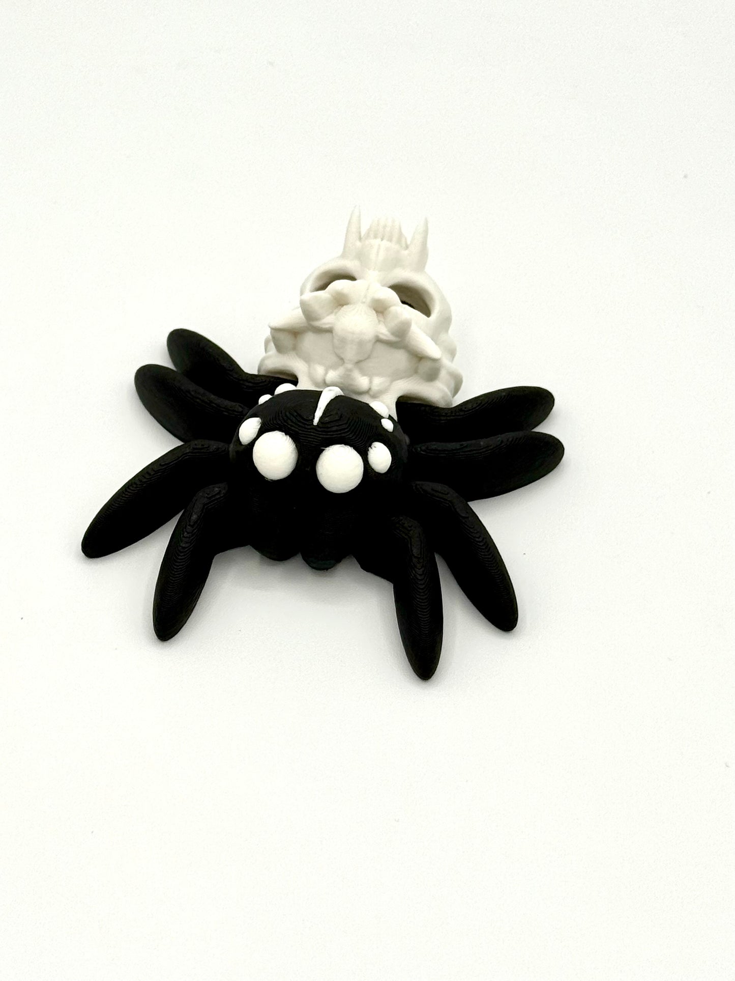 Jumbo Hollow Spider