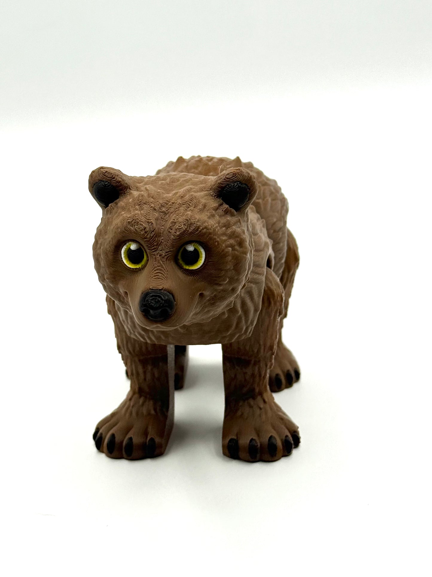Grizzly Bear