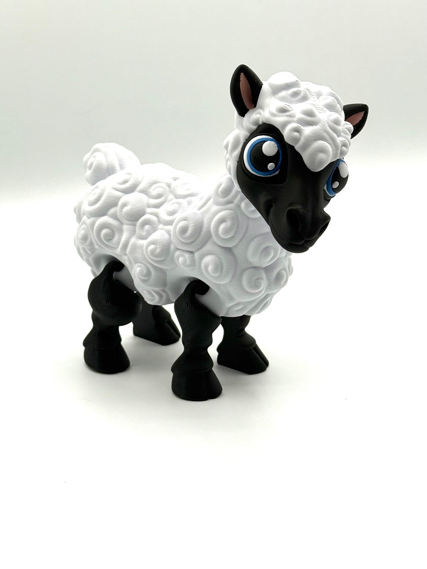 Sheep