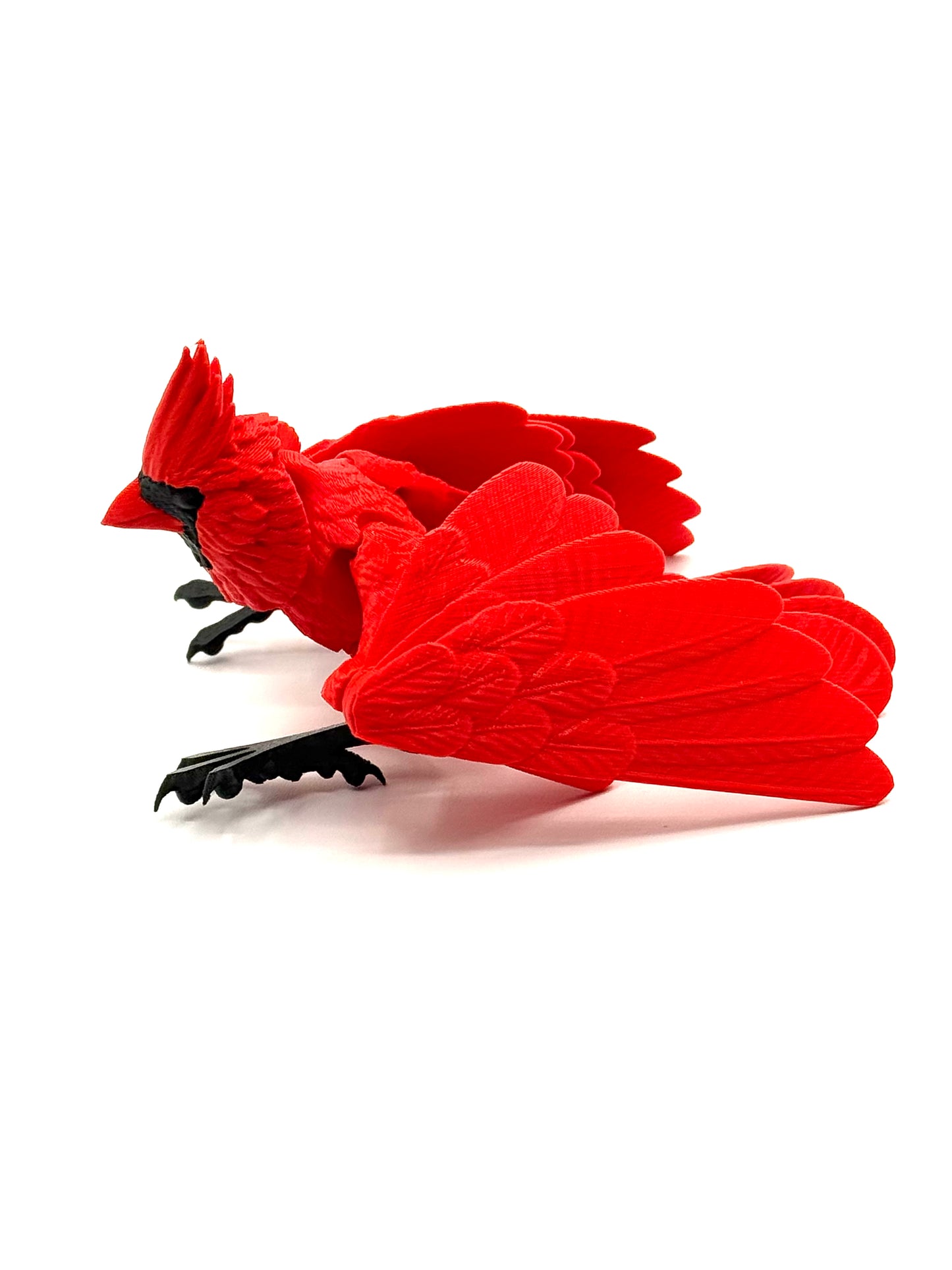 Flexi Cardinal