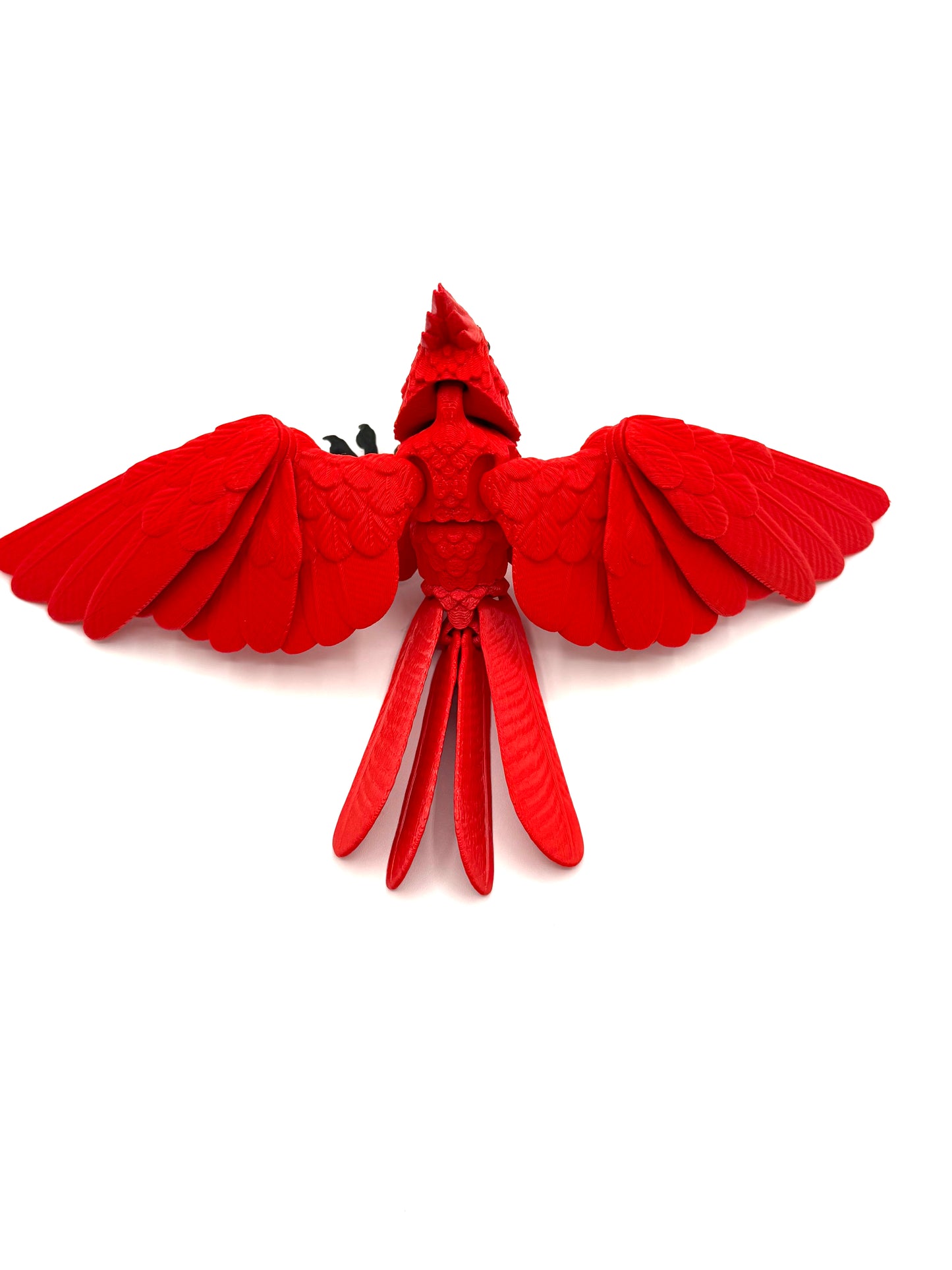Flexi Cardinal