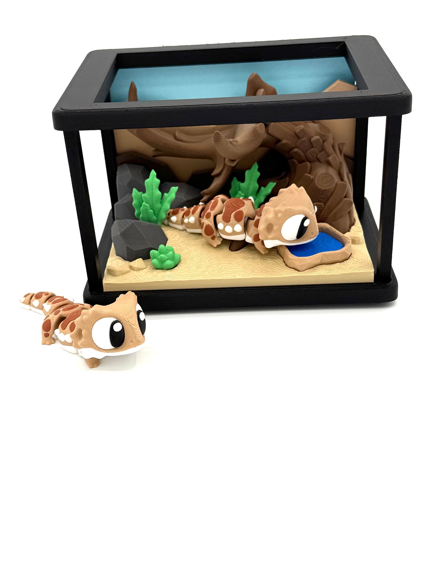 Terrarium with Two Bearded Dragons