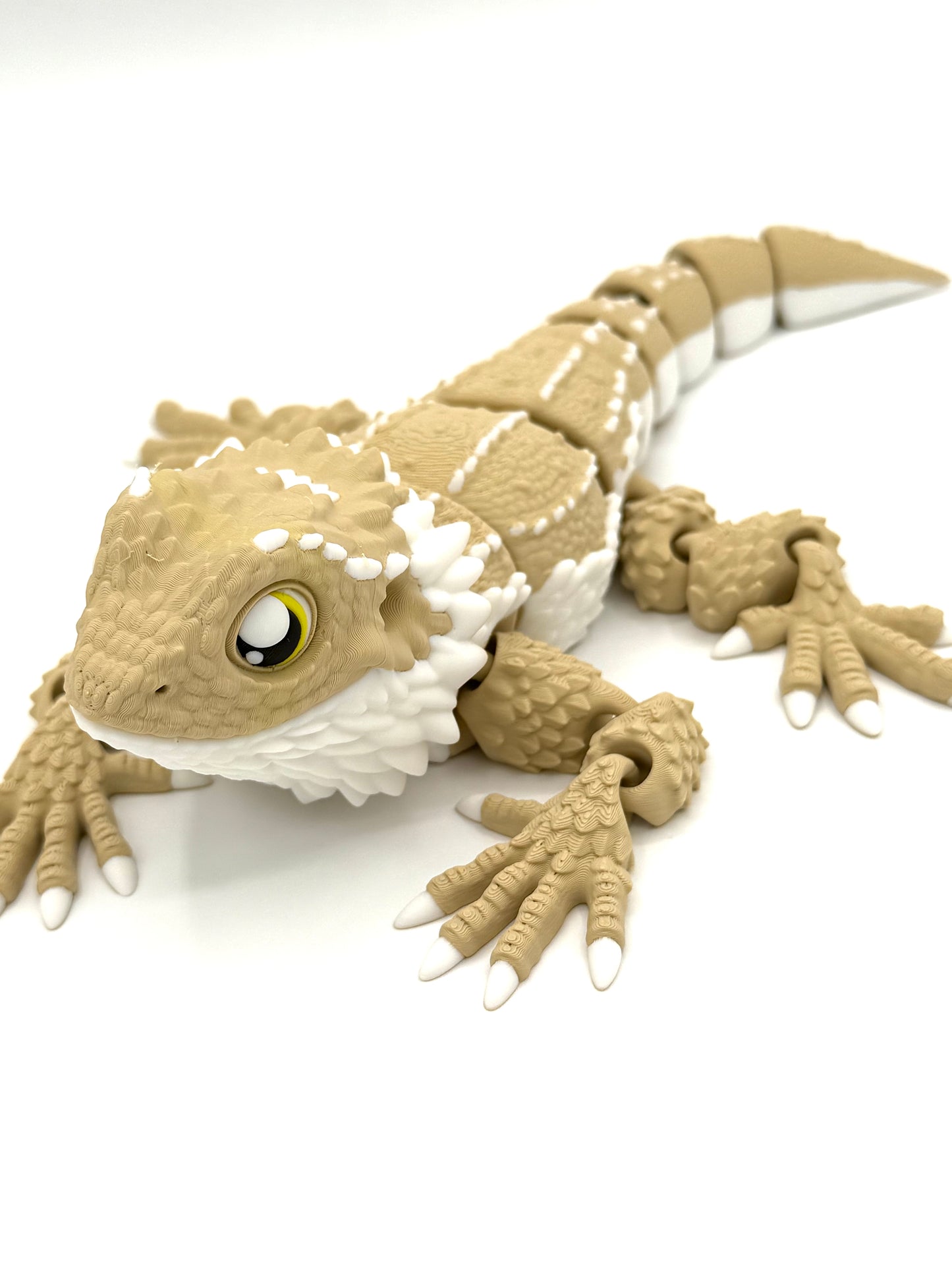 Bearded Dragon