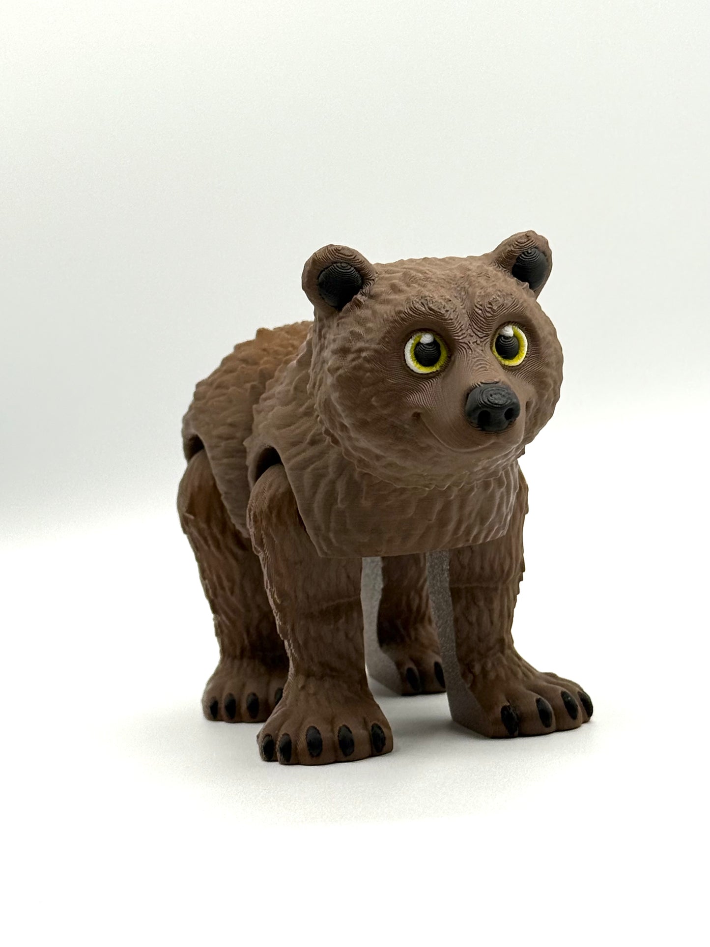 Grizzly Bear