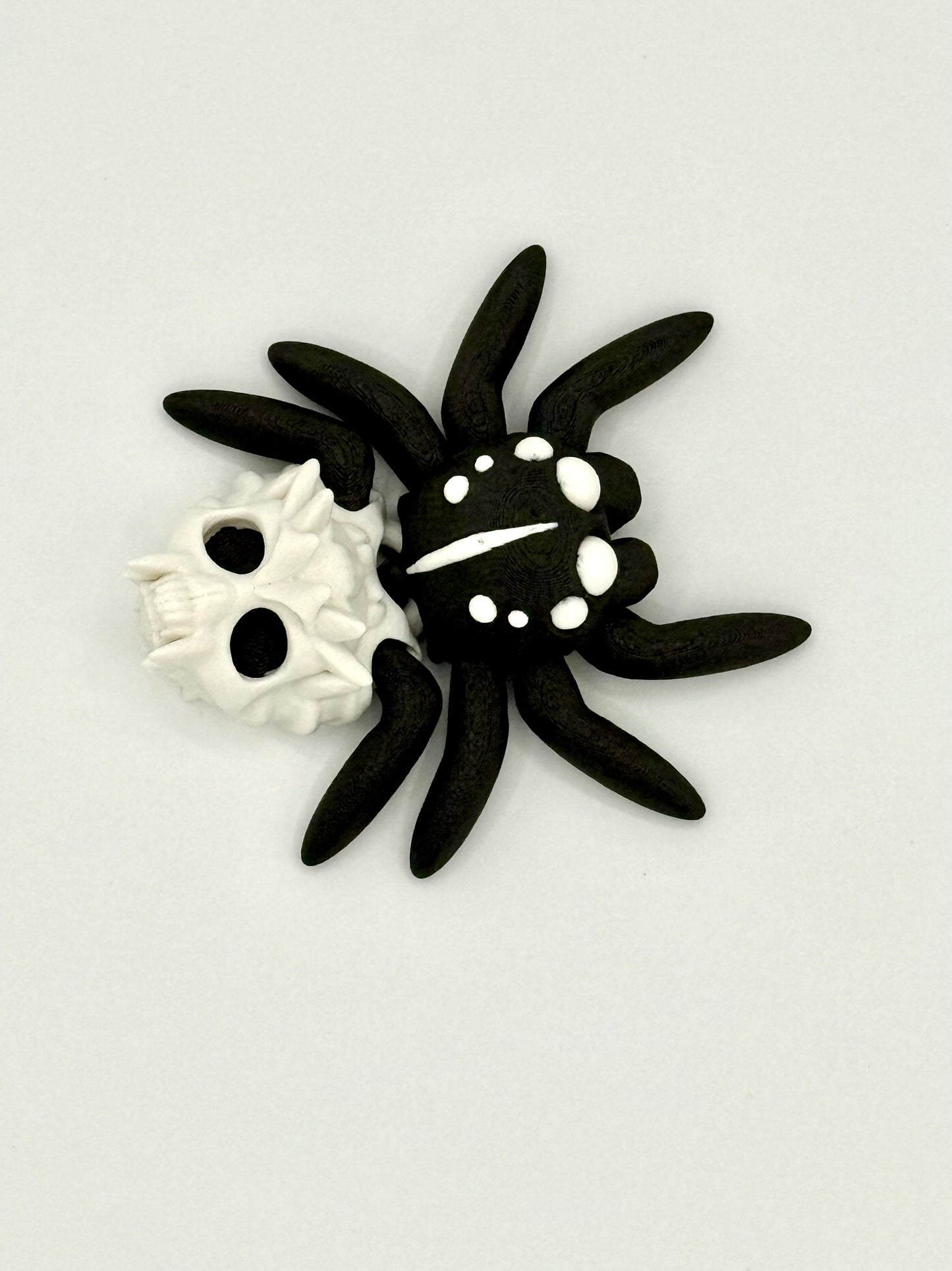 Jumbo Hollow Spider