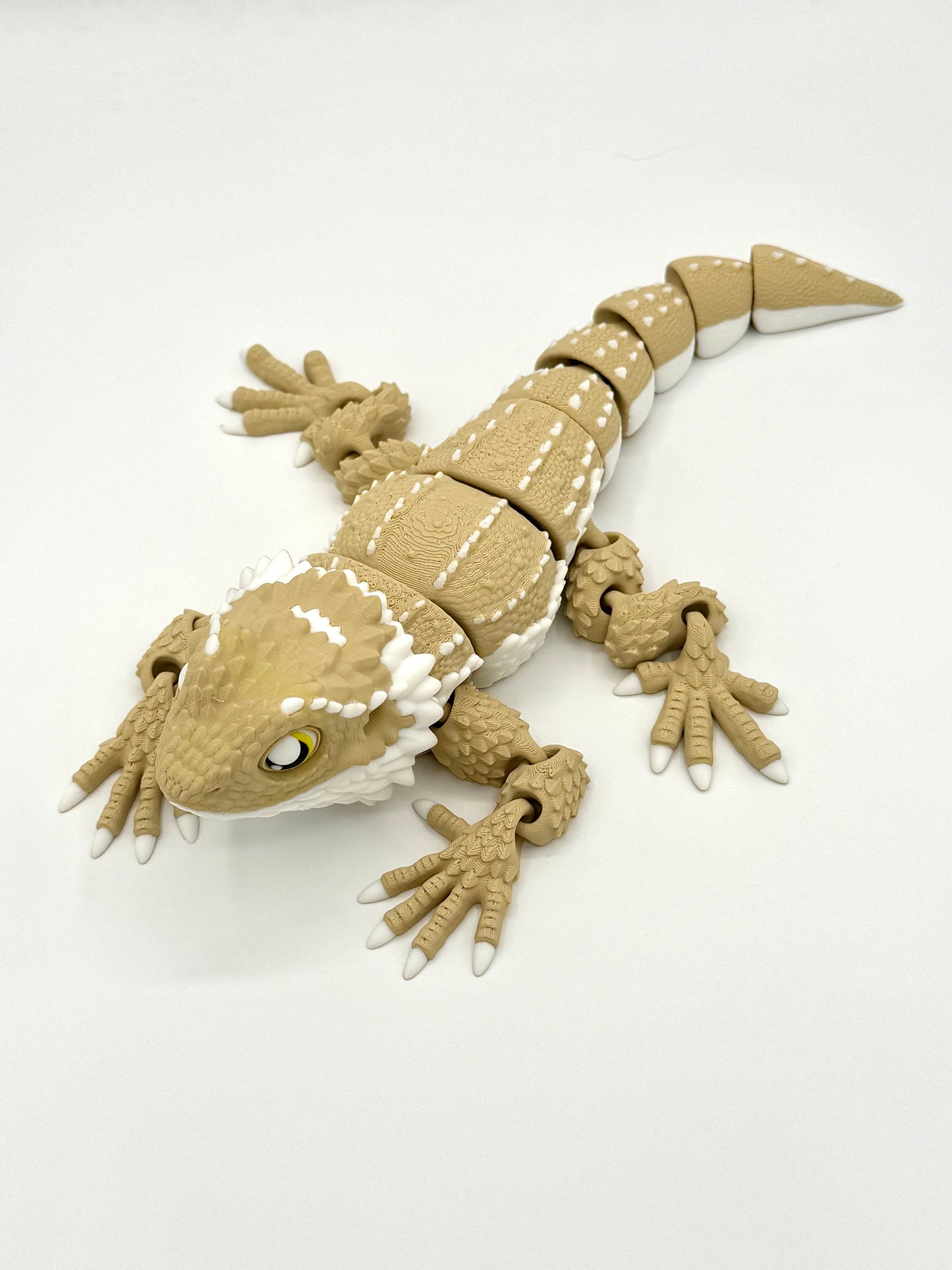 Bearded Dragon