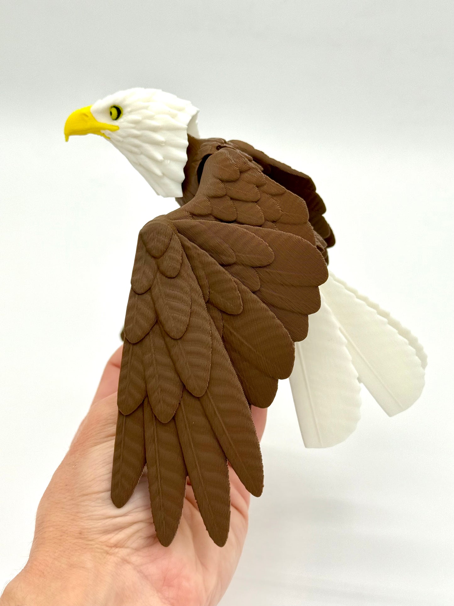 Flexi Eagle