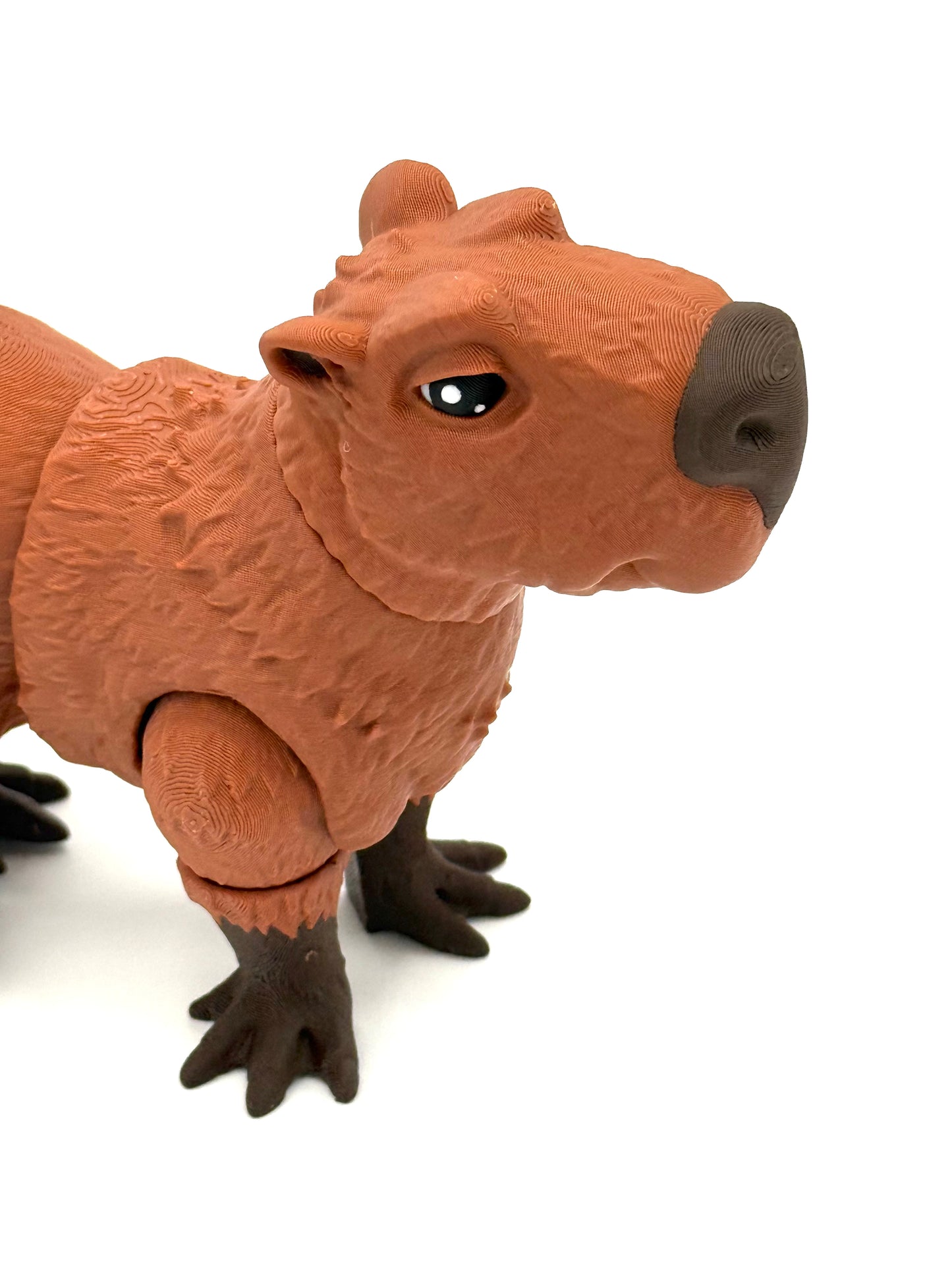 Jumbo Capybara