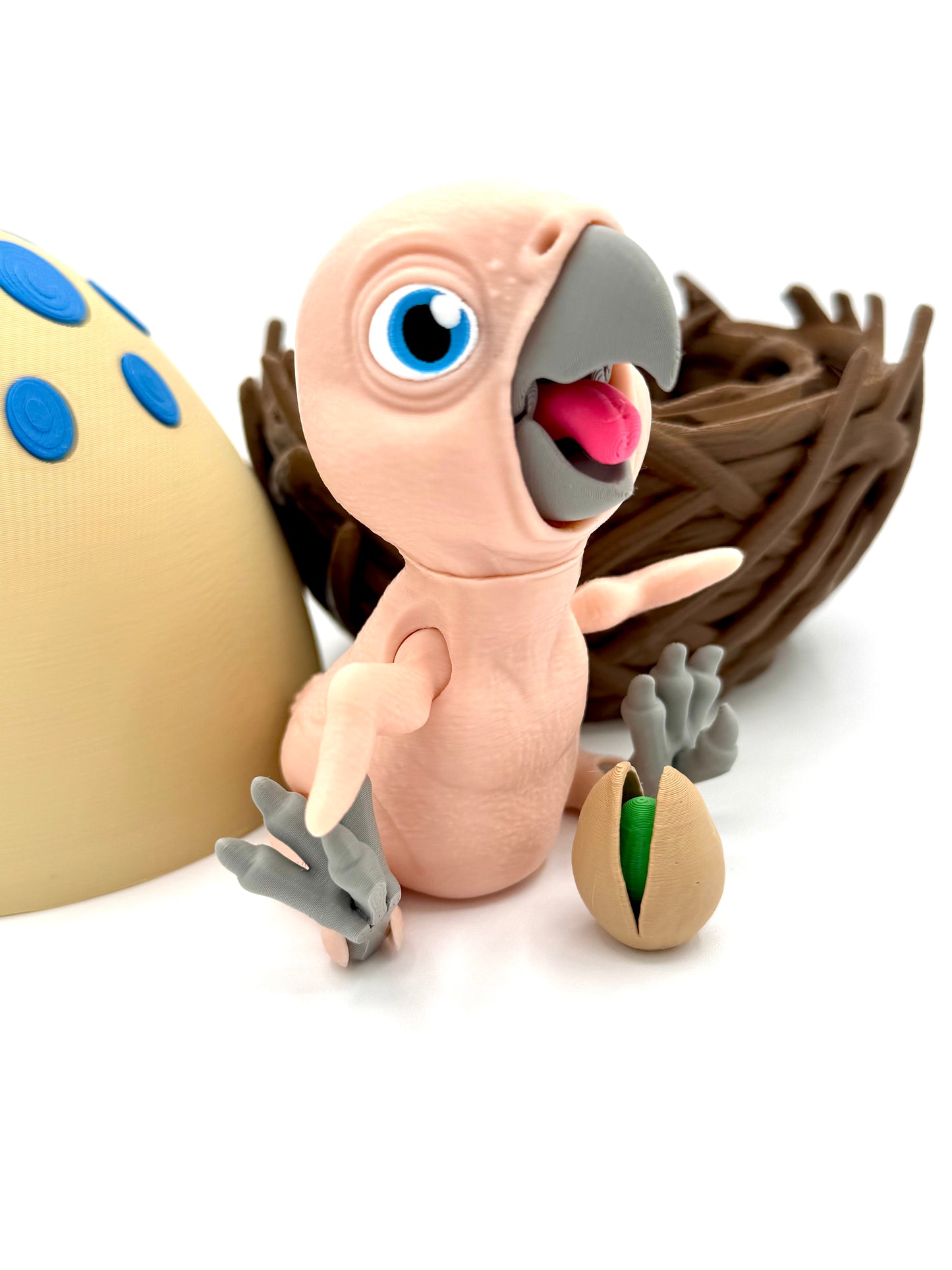 Baby Parrot with Nest