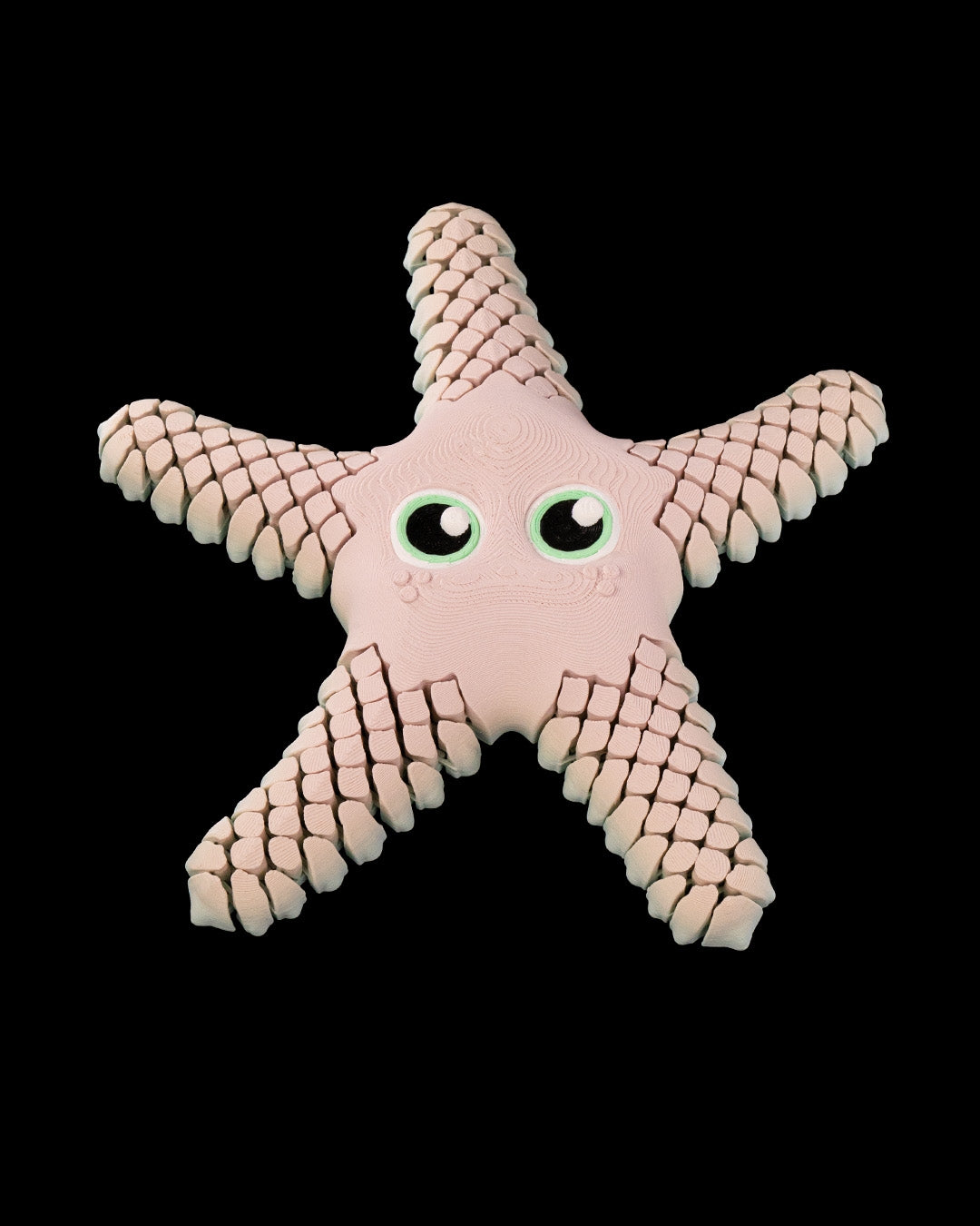 Sandy the Sea Star