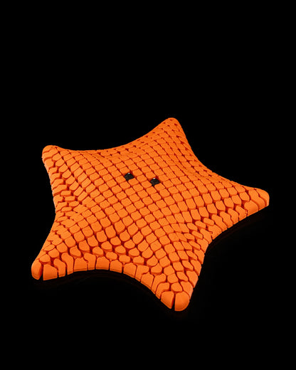 Betsi the Bat Sea Star