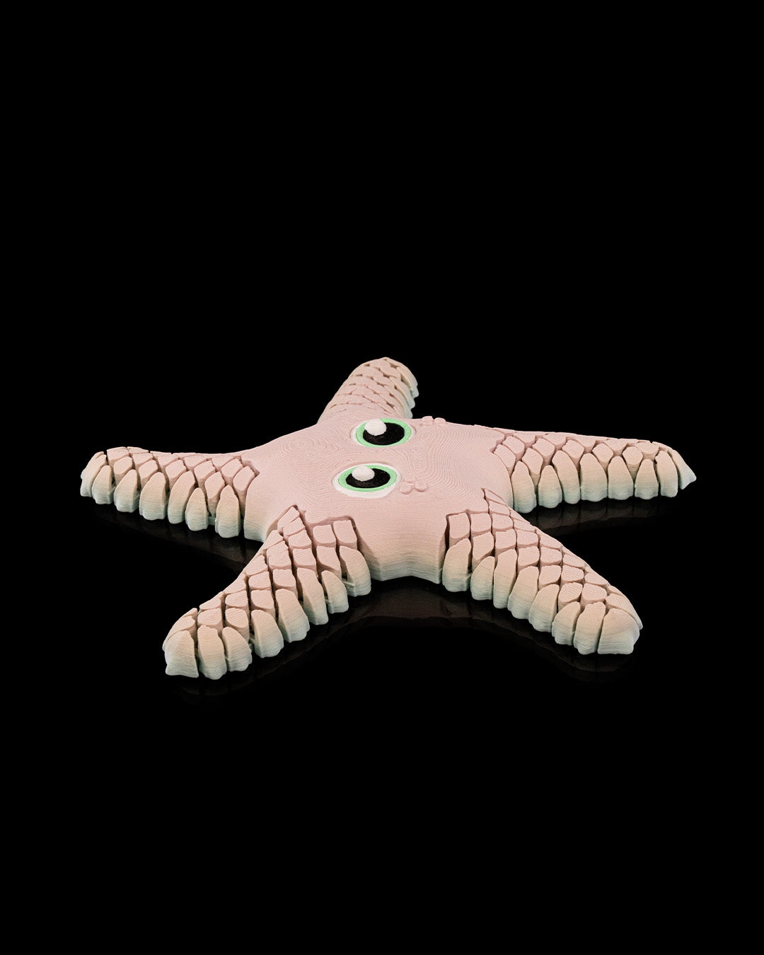 Sandy the Sea Star