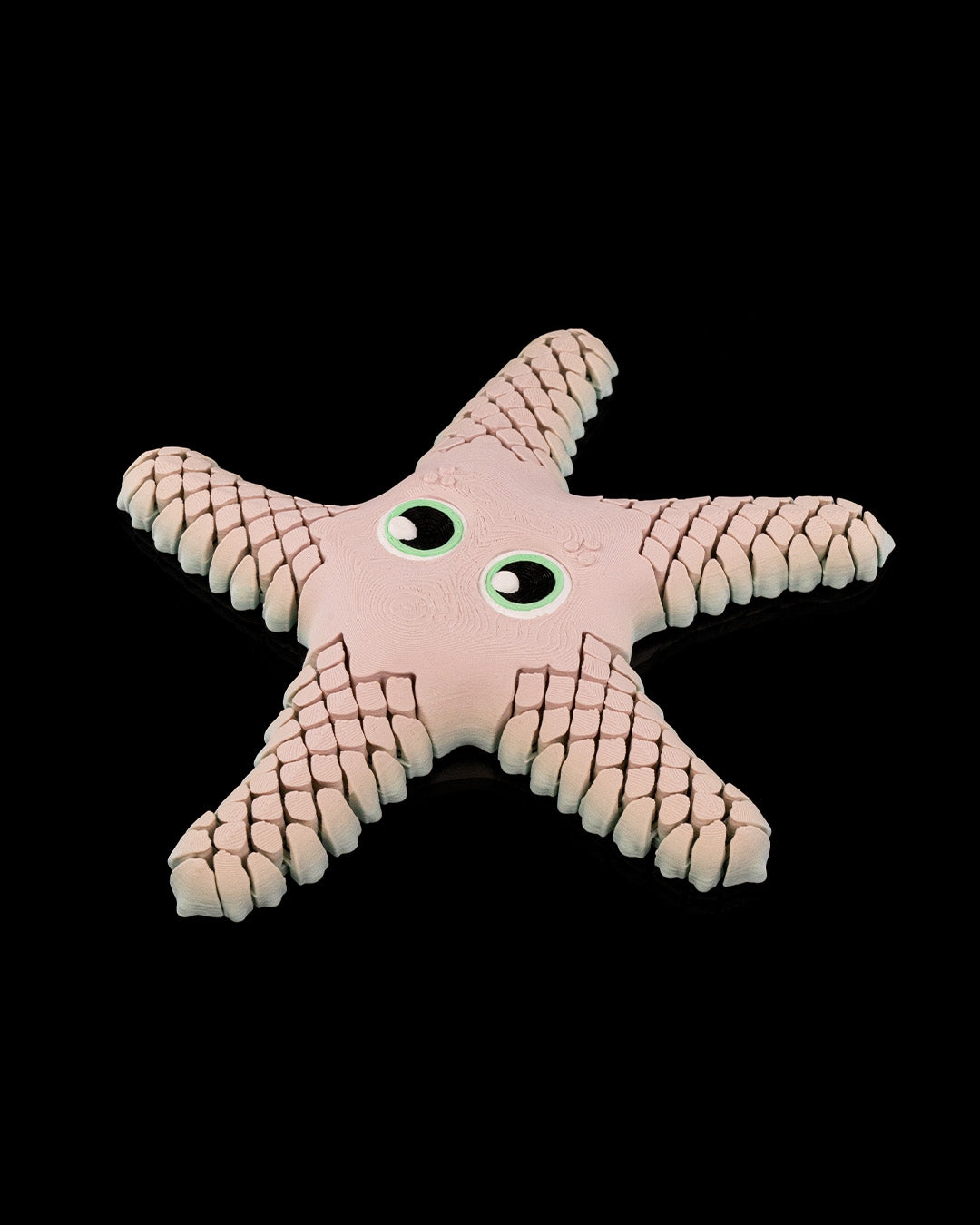 Sandy the Sea Star