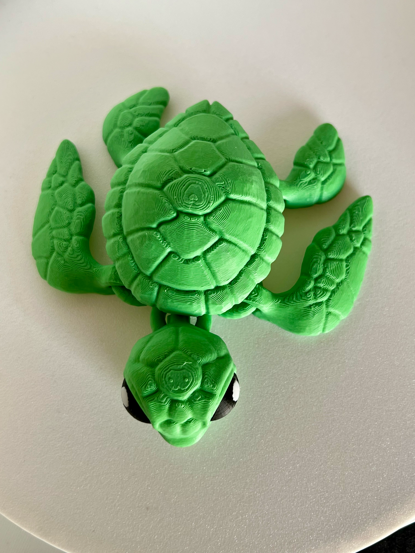 Flexi Sea Turtle