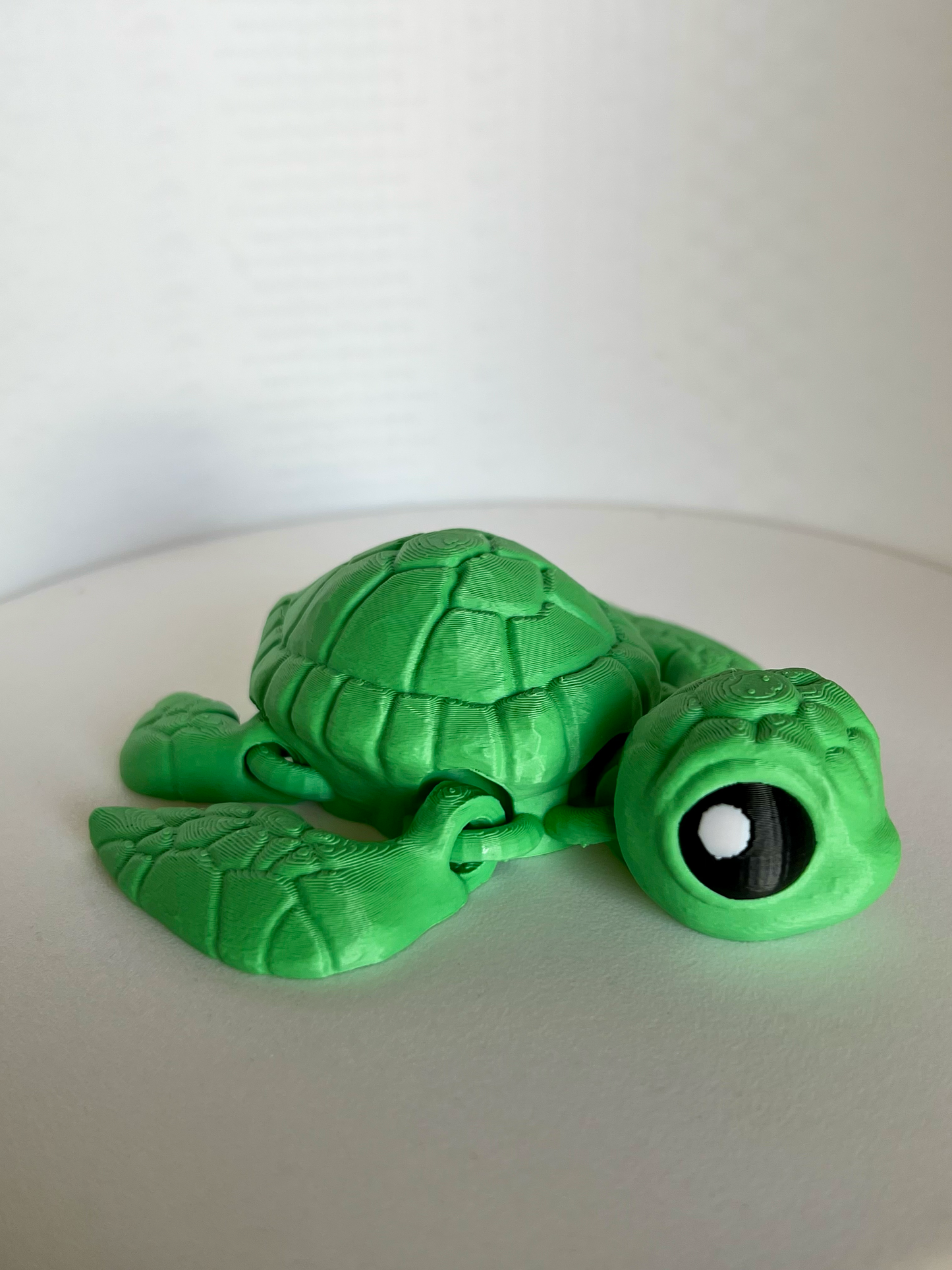 Flexi Sea Turtle