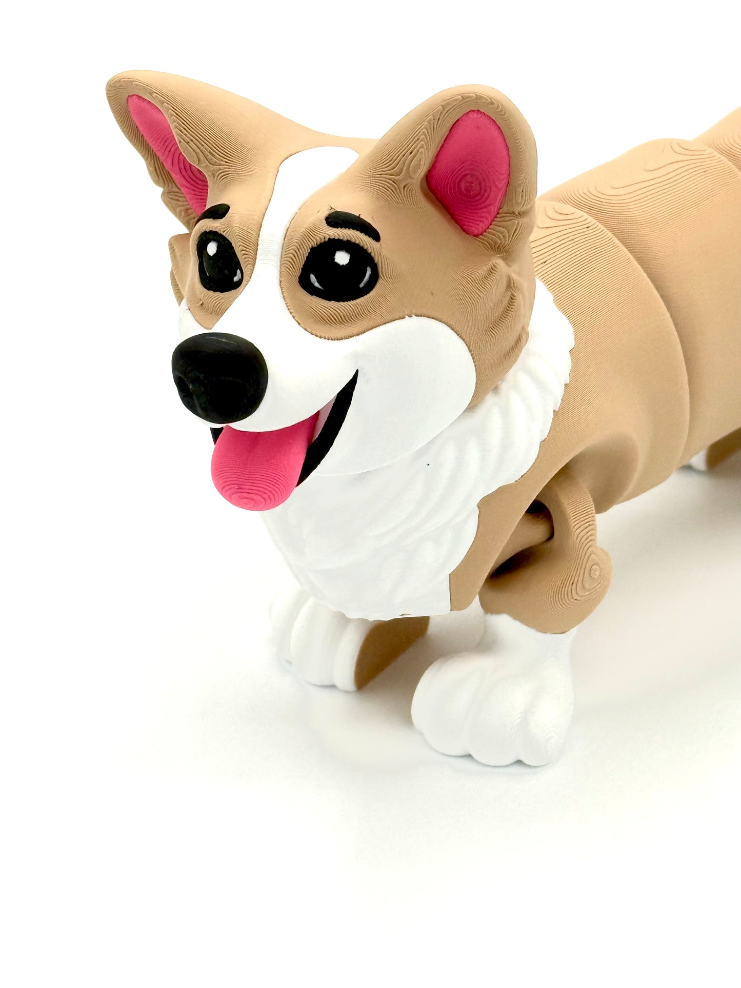 Jumbo Corgi
