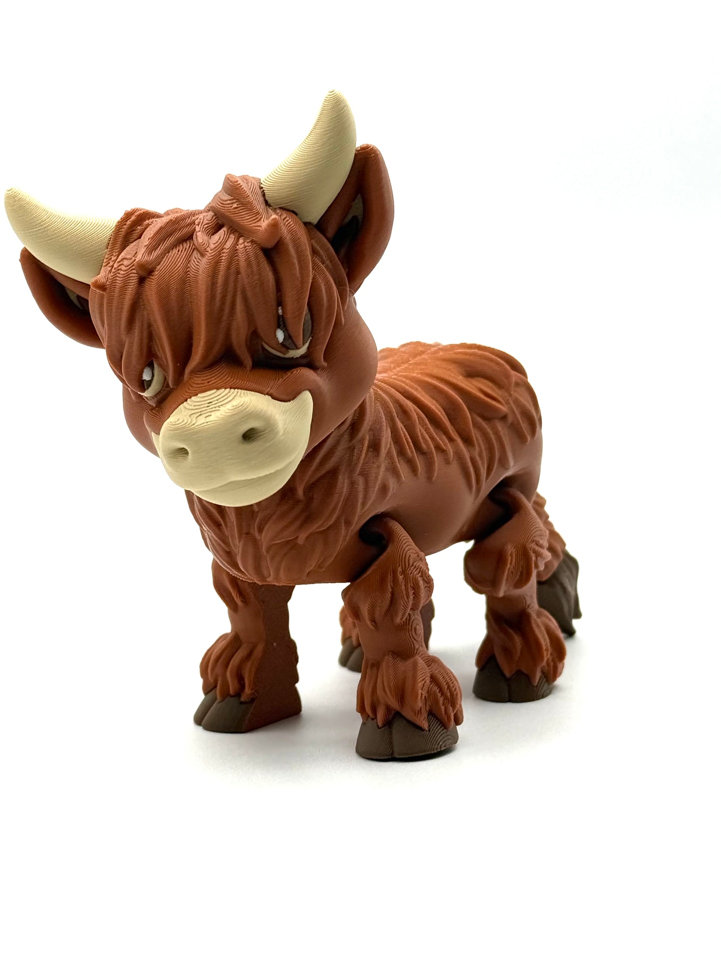Highland Cow