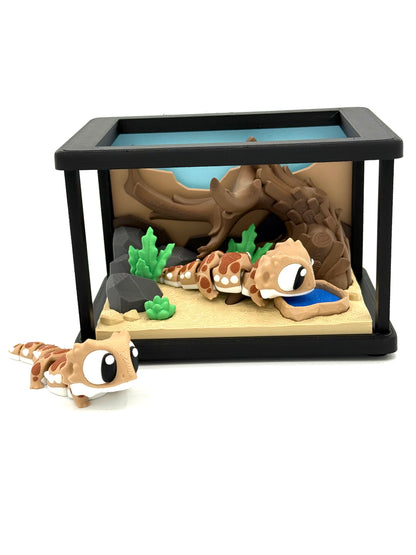 Terrarium with Two Bearded Dragons