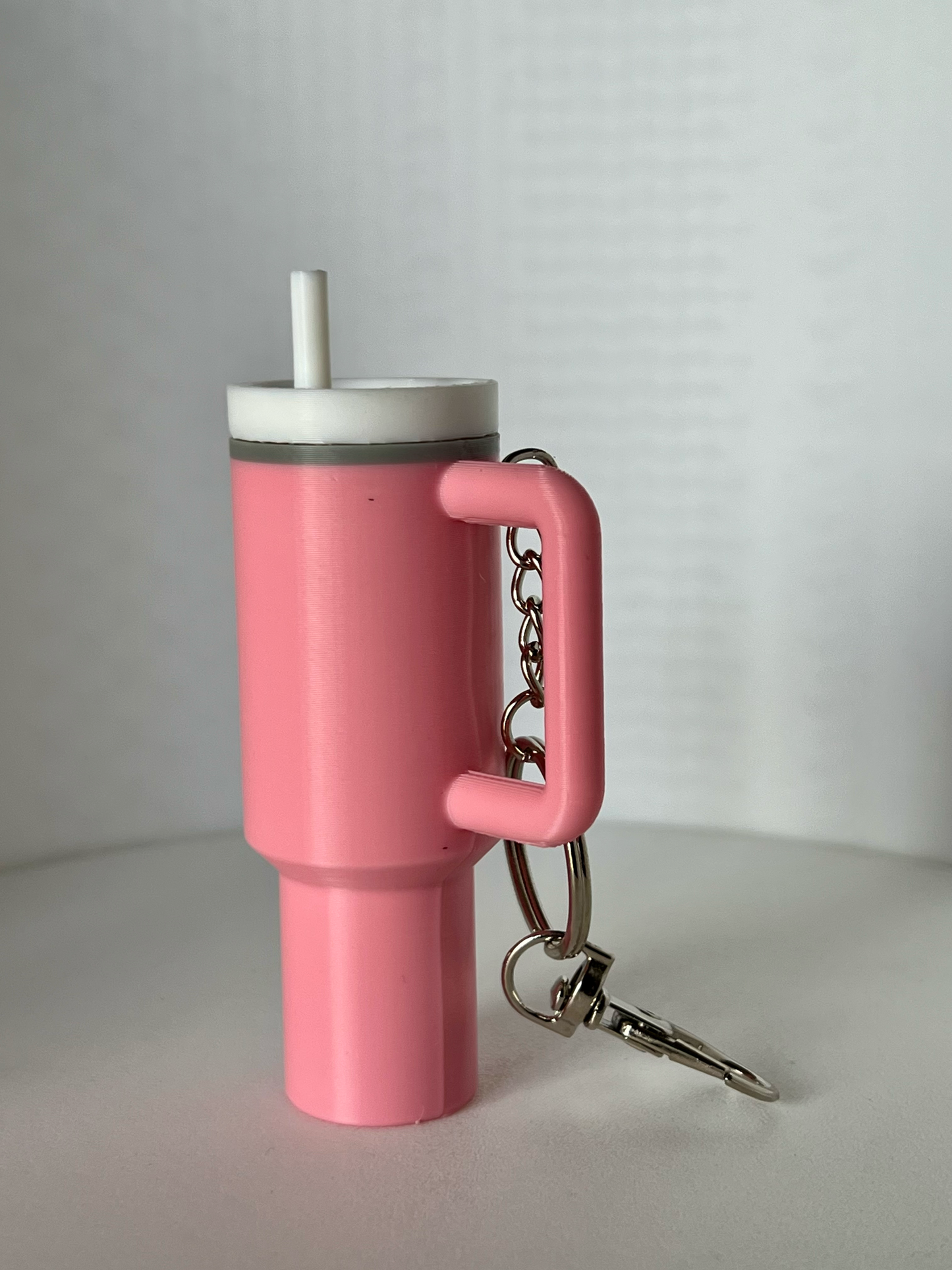 Tumbler Keychain | Hidden Chapstick Holder