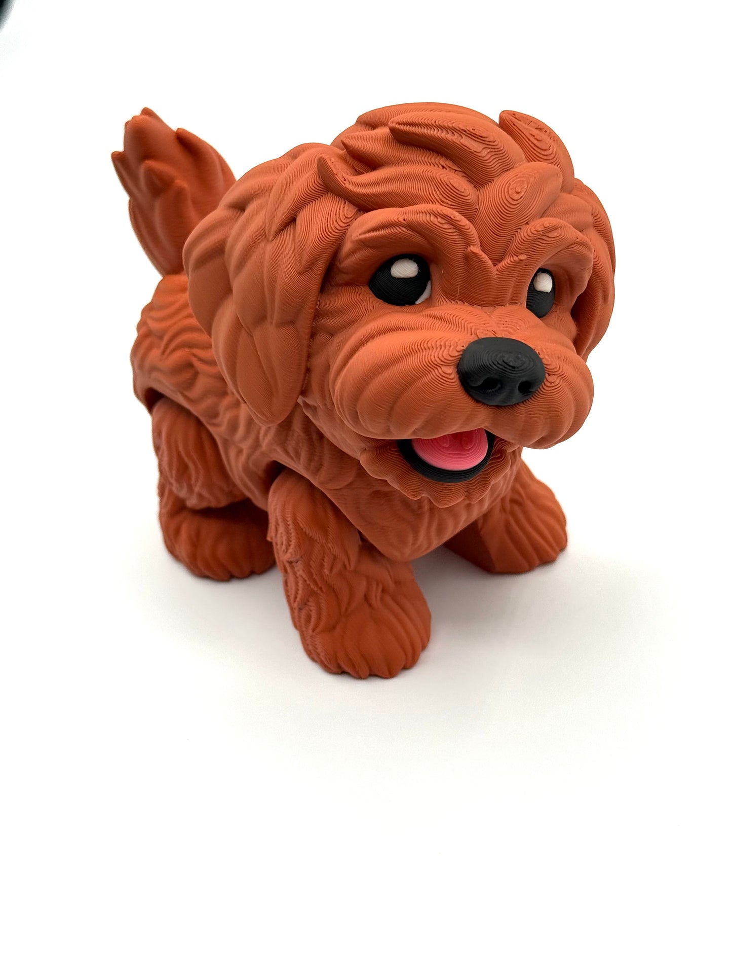 Flexi Goldendoodles