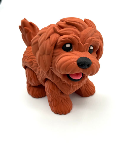 Flexi Goldendoodles