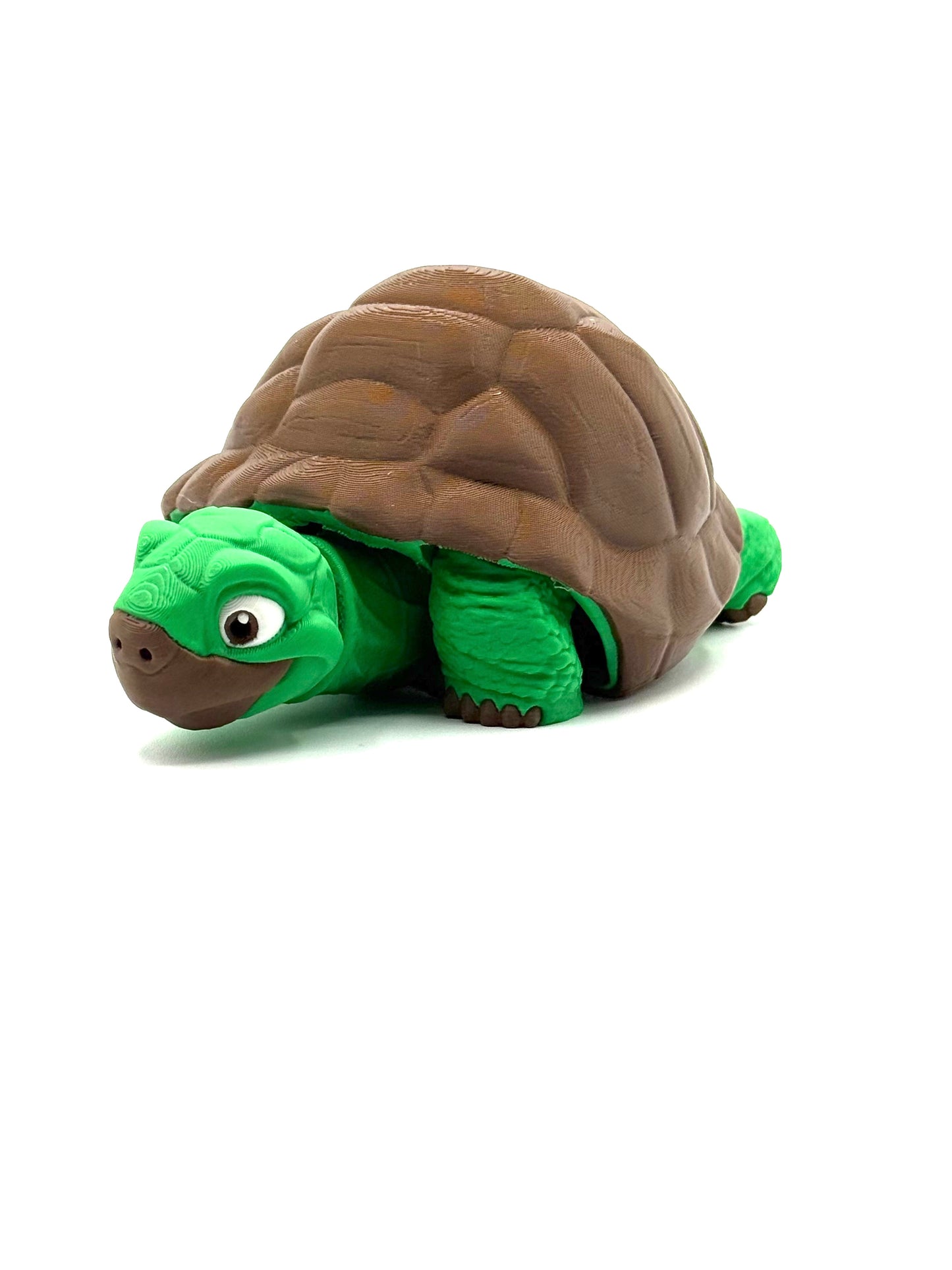 Tortoise
