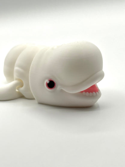 Flexi Beluga Whale