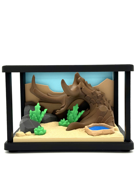 Terrarium with Two Bearded Dragons