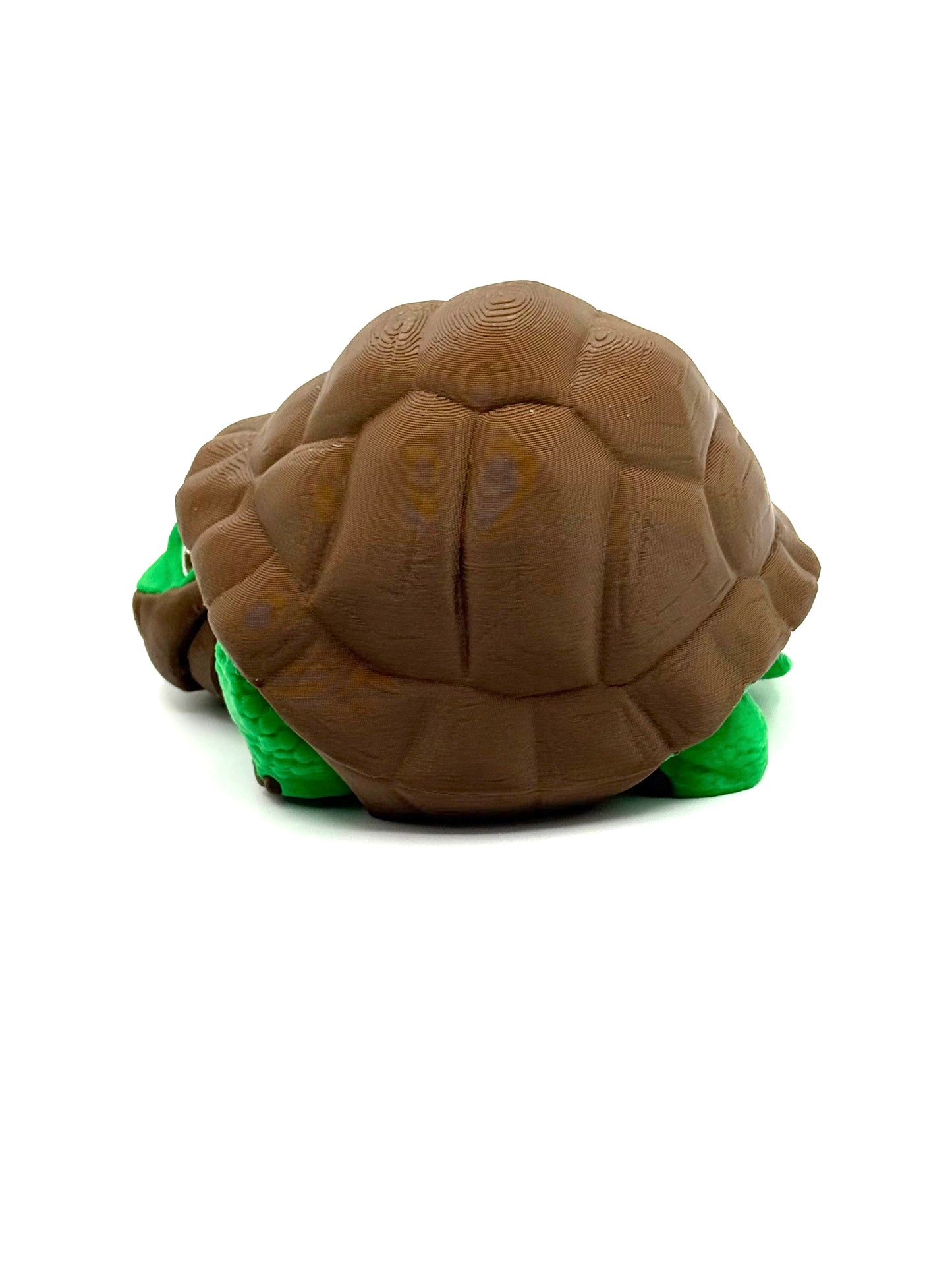 Tortoise
