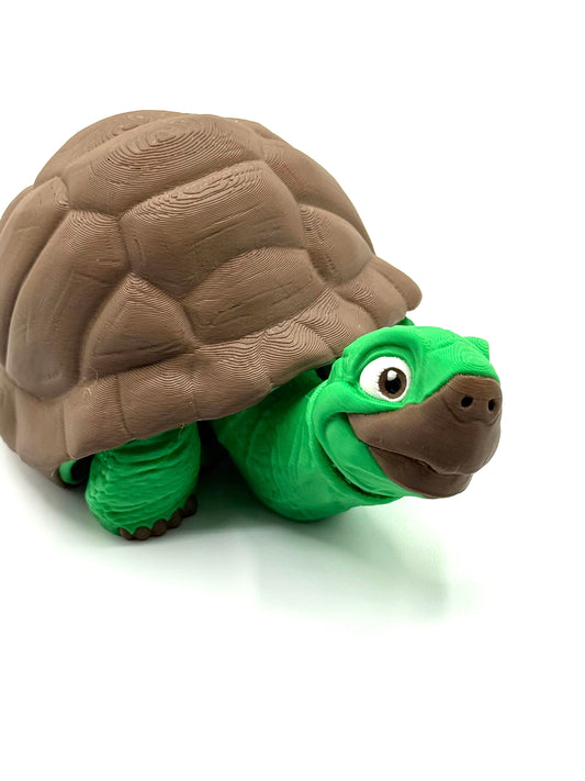 Tortoise