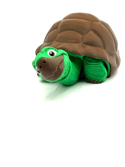 Tortoise