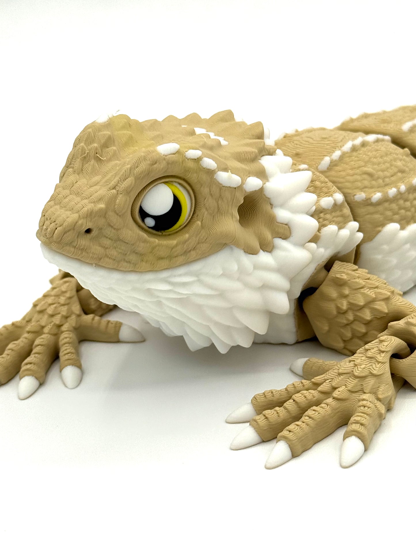 Bearded Dragon