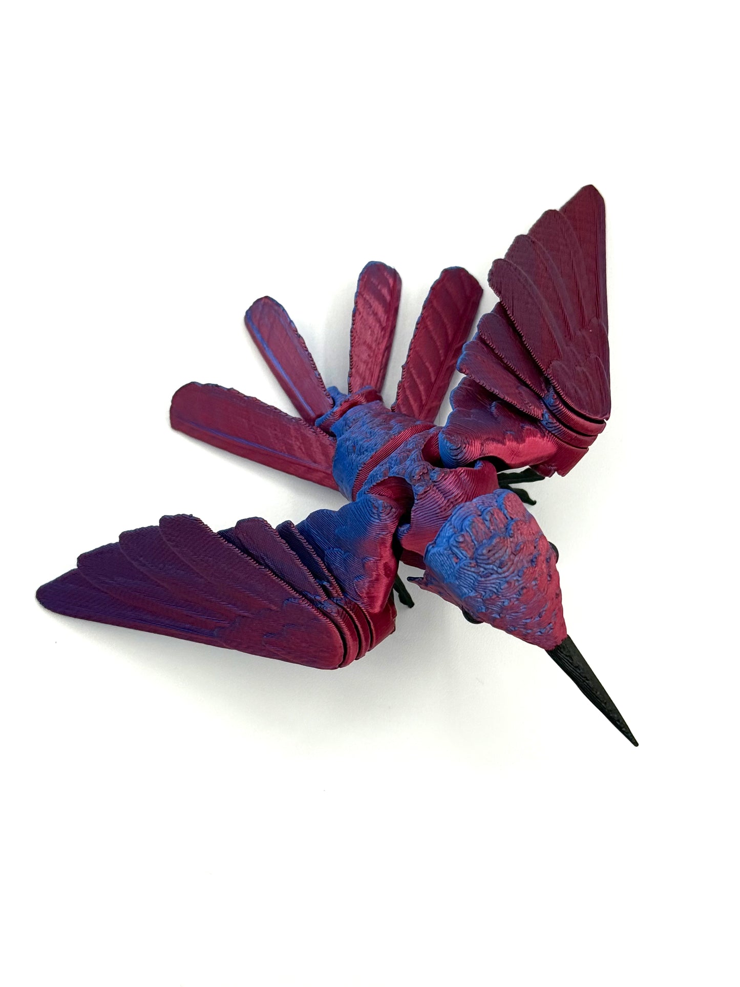 Flexi Hummingbird