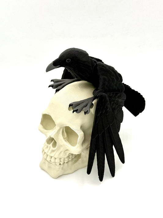 Flexi Raven