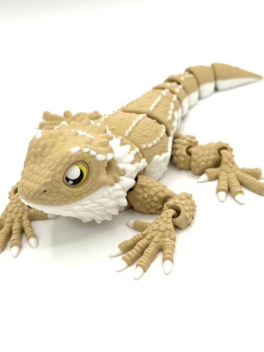Bearded Dragon