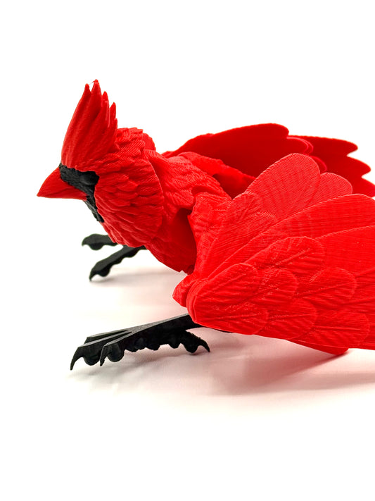 Flexi Cardinal