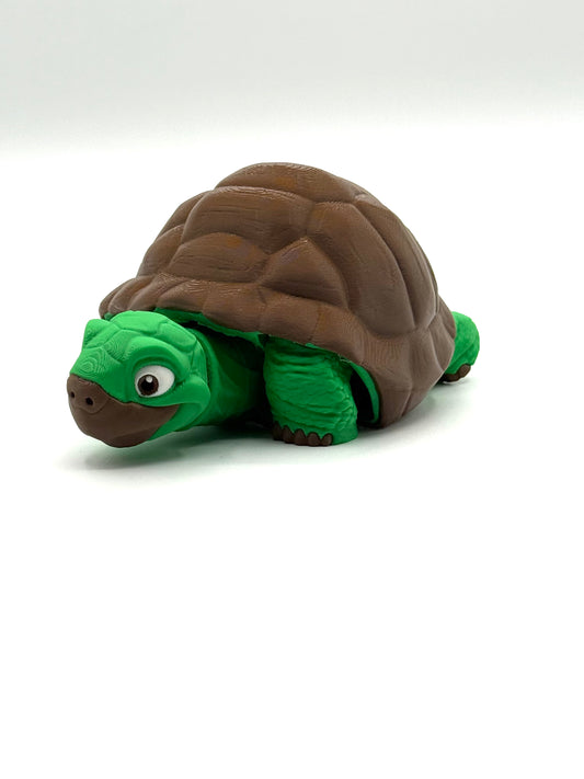 Tortoise