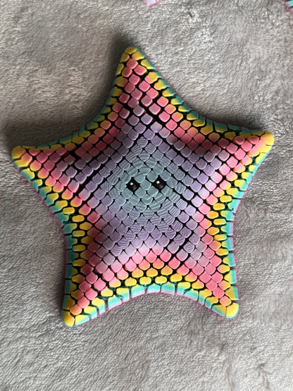 Betsi the Bat Sea Star