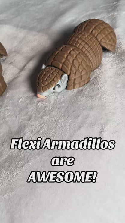 Flexi Armadillo